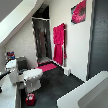 Chambres Conforts Climatisees **24 Heures Du Mans** La Suze-sur-Sarthe Exterior photo