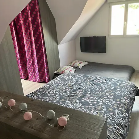 Chambres Conforts Climatisees **24 Heures Du Mans** La Suze-sur-Sarthe Exterior photo